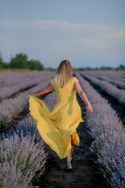 Blooming Lavanta Tarlaları 'ndaki çekici genç kadın. Sarı elbiseli, şapkalı hoş bayanın arka manzarası. Taze lavanta çiçekli lavanta yağı, aromaterapi masaj konsepti..