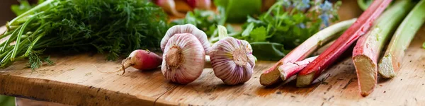 Seasonal vegetables on wooden table: garlic, rhubarb, salad, pink radish. Concept of fresh seasonal organic domestic local products, gardening, healthy lifestyle. Banner