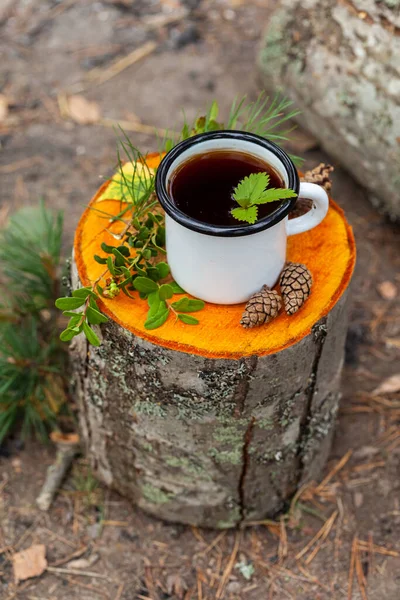 White campfire enamel mug with hot herbal tea on wooden stump. Bowler pot on background, cones, forest elements as decor. Concept of lunch break during hiking, trekking, active tourism, campring