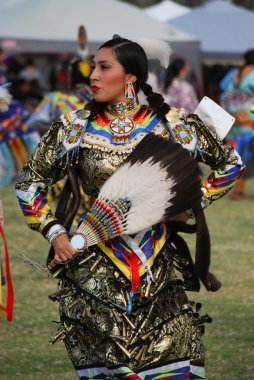 Amerikan Kızılderili arabulucu