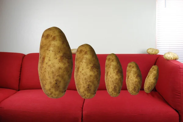 Couch Potato familie — Stockfoto