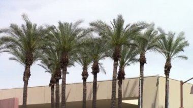 Phoenix Arizona Kongre Merkezi