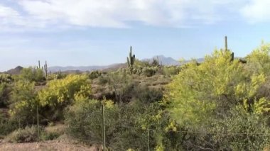 Batıl inanç Dağları, Arizona
