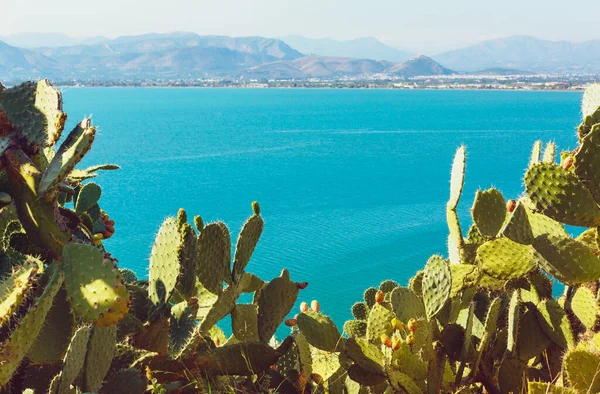 Akdeniz manzarası ve kaktüs, Nafplion, Yunanistan kıyıları