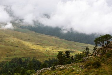 Uçurumlar, orman ve Lago Naki Platosu, Adygea, Rusya
