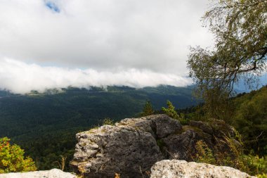 Lago Naki Platosu, Adygea, Rusya yakınlarındaki kayalıklara ve ormanlara bakın.
