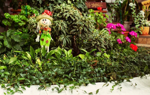 손님방에 꽃밭을 가꾸는 좋아하 러시아 크라스 아나파 — 스톡 사진