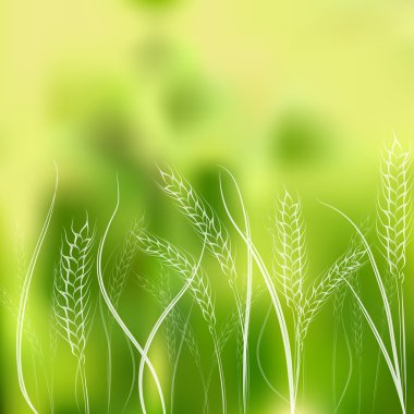 Gradient mesh background with  hand drawing  wheat ears clipart