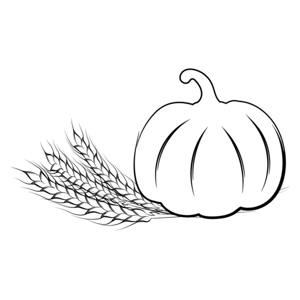 Illustrazione vettoriale del disegno a mano di zucca matura e spighe di grano — Vettoriale Stock