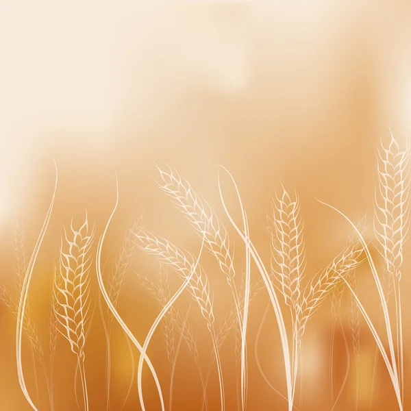 Gradient mesh background with hand drawing  wheat ears — Stock Vector