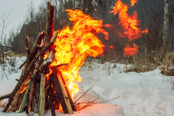 Бомбардування сухих дров у снігу в холодний зимовий день — стокове фото