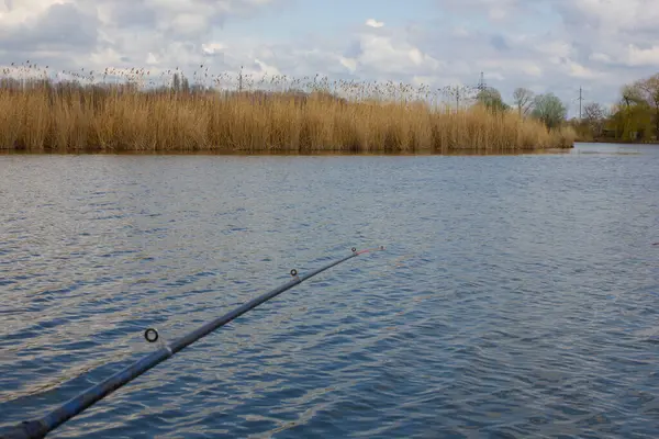 A fishing rod by the river. Fishing in nature. Reeds by the river. — Stock Photo, Image