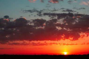 Pembe gökyüzüne karşı kırmızı gün batımı. kırmızı bulutlar, 