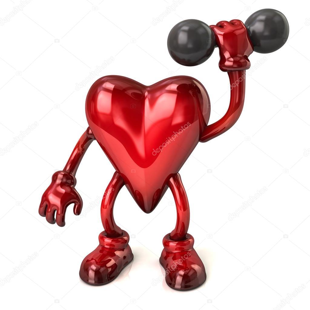 human heart with dumbbell