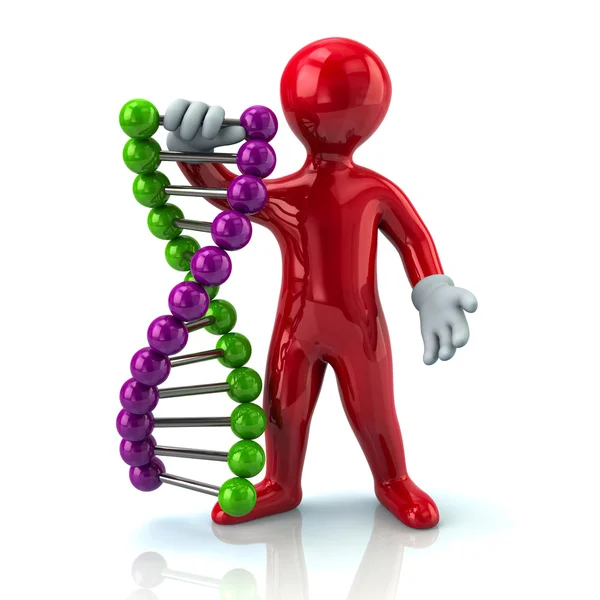Человек держит спираль ДНК — стоковое фото