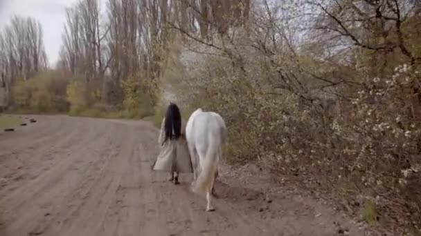 Young Woman Walking Her Horse Field Spring Daytime — Stock Video