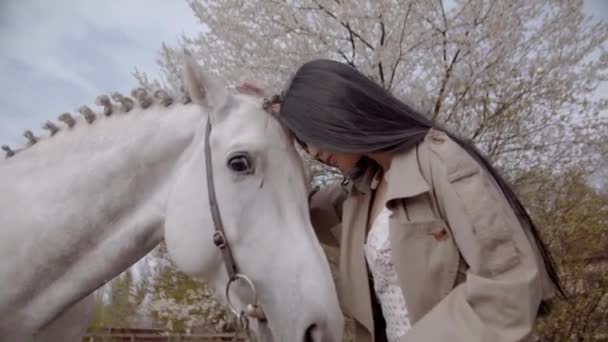 Young Woman Walking Her Horse Field Spring Daytime — Stock Video