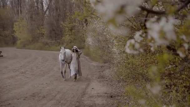 Young Woman Walking Her Horse Field Spring Daytime — Stock Video