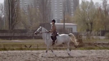 Genç bayan binici, açık havada kumlu parkta at biniciliği alanında yürüyor. Açık havada at eğitmek, binicilik sporu.. 
