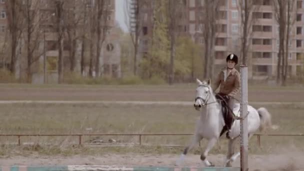 Jonge Vrouwelijke Ruiter Wandelen Met Paard Buitenlucht Zandige Parkour Manege — Stockvideo