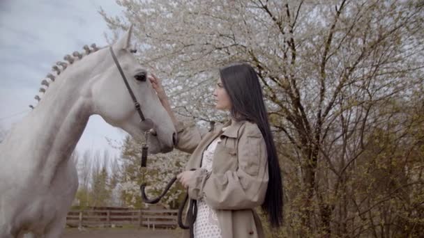 Vertraag Bewegen Jonge Vrouw Die Overdag Met Haar Paard Het — Stockvideo