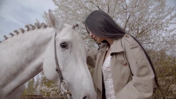 Lenteur Motion Jeune Femme Marchant Avec Son Cheval Sur Terrain — Video