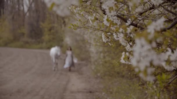Slow Motion Młoda Kobieta Spacerująca Koniem Polu Wiosną — Wideo stockowe