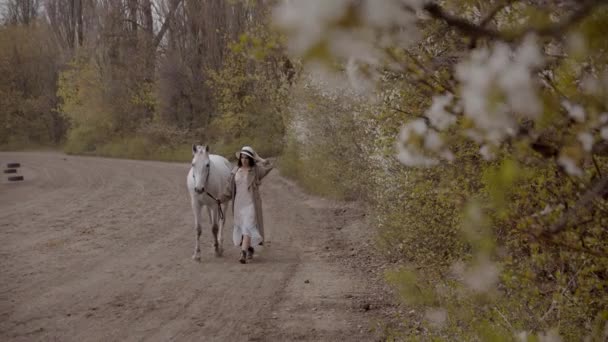 Slow Motion Young Woman Walking Her Horse Field Spring Daytime — Stock Video