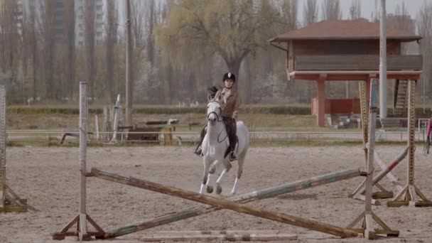 Slow Motion Jonge Vrouwelijke Ruiter Wandelen Met Paard Buitenlucht Zandige — Stockvideo