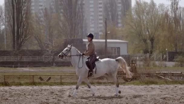 Медленное Движение Молодая Наездница Идущая Лошадью Открытой Песчаной Арене Паркура — стоковое видео