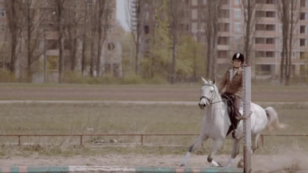 Αργή Κίνηση Νεαρή Γυναίκα Αναβάτης Περπάτημα Άλογο Εξωτερικούς Χώρους Αμμώδη — Αρχείο Βίντεο