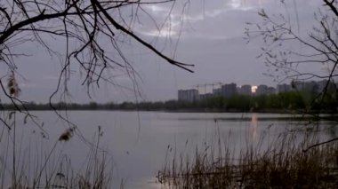 Dalların arasından sakin göl suyunun karşısındaki yerleşim yerlerinin görüntüsü.