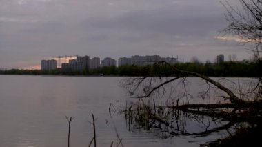 Dalların arasından sakin göl suyunun karşısındaki yerleşim yerlerinin görüntüsü.