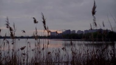 Dalların arasından sakin göl suyunun karşısındaki yerleşim yerlerinin görüntüsü.