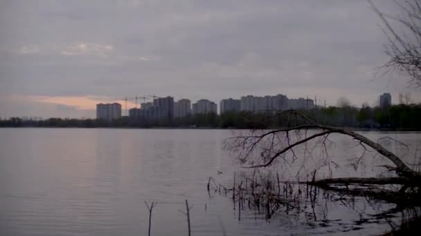 Вид на жилые дома через ветки, через спокойную озерную воду. — стоковое видео