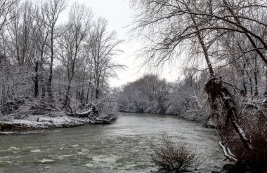 Karla kaplı ağaçlarla çevrili donmuş bir nehir.