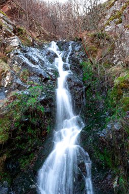Dağdan akan bir şelale.