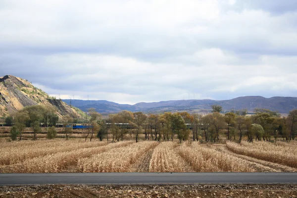 Höstlandskap — Stockfoto