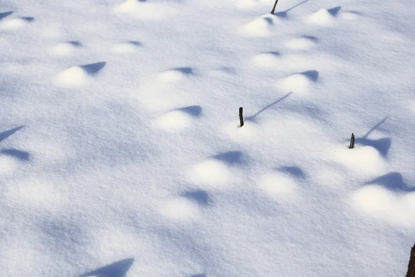 Onde di neve — Foto Stock