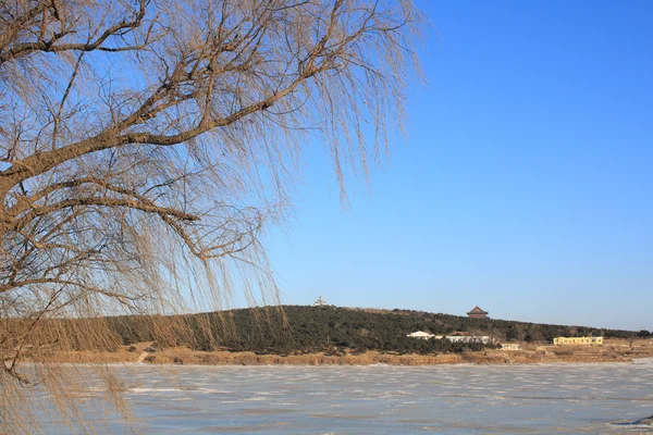 Winter landscape — Stock Photo, Image