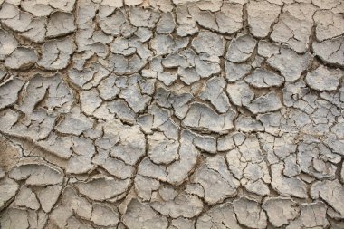 kurak toprak yüzeyinin