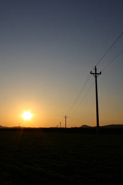 Power pole at sunset — Stock Photo, Image