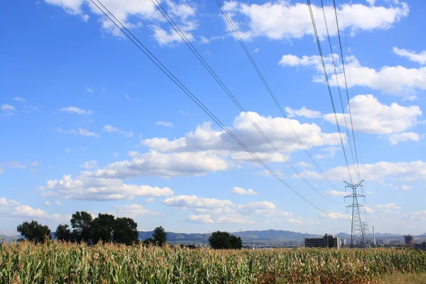 Elektriciteit en maïs — Stockfoto