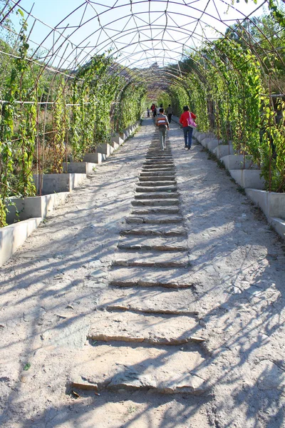 Escalier en pierre — Photo