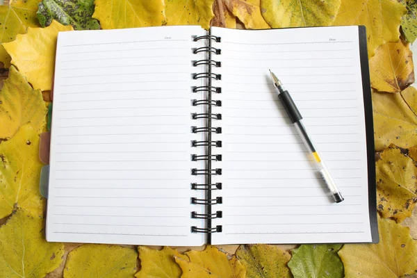 Tagebuch auf Blättern — Stockfoto