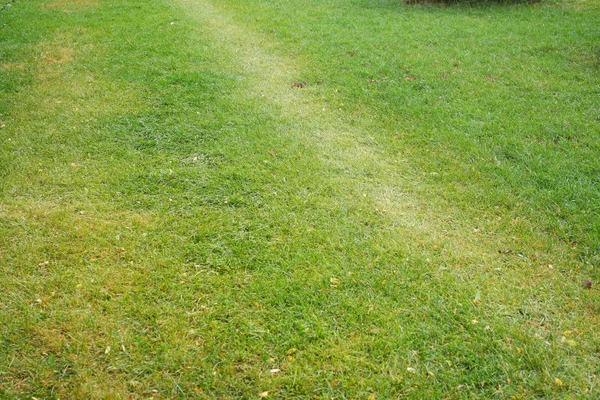 Trawnik, chodnik — Zdjęcie stockowe