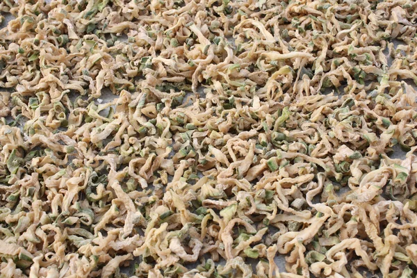 Rabanete seco — Fotografia de Stock