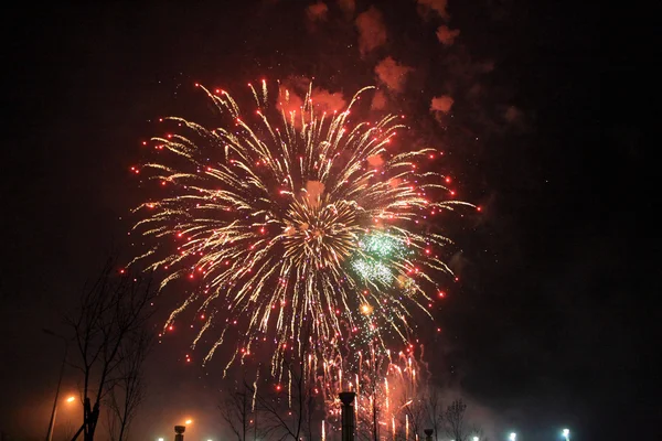 Fireworks — Stock Photo, Image