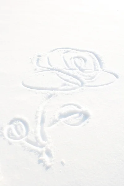 Graffiti-Rosen im Schnee — Stockfoto