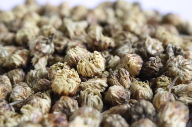 kurutulmuş papatya çiçekleri